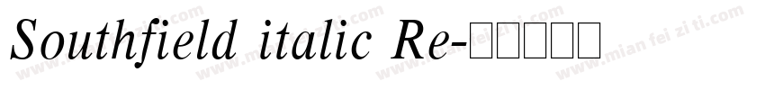 Southfield italic Re字体转换